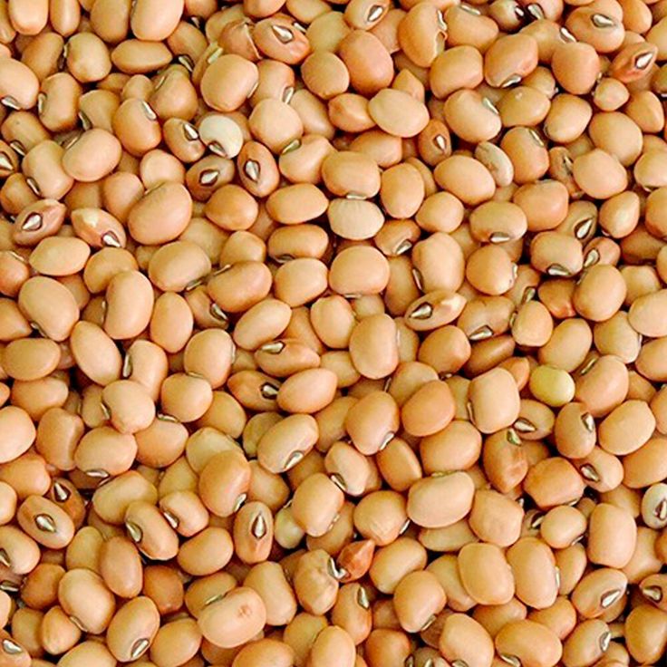 Beans — Wake Gida